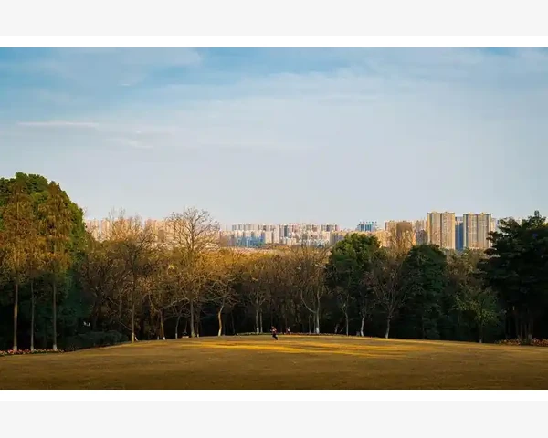 B2B电子商务模式变革驱动产业升级新浪潮